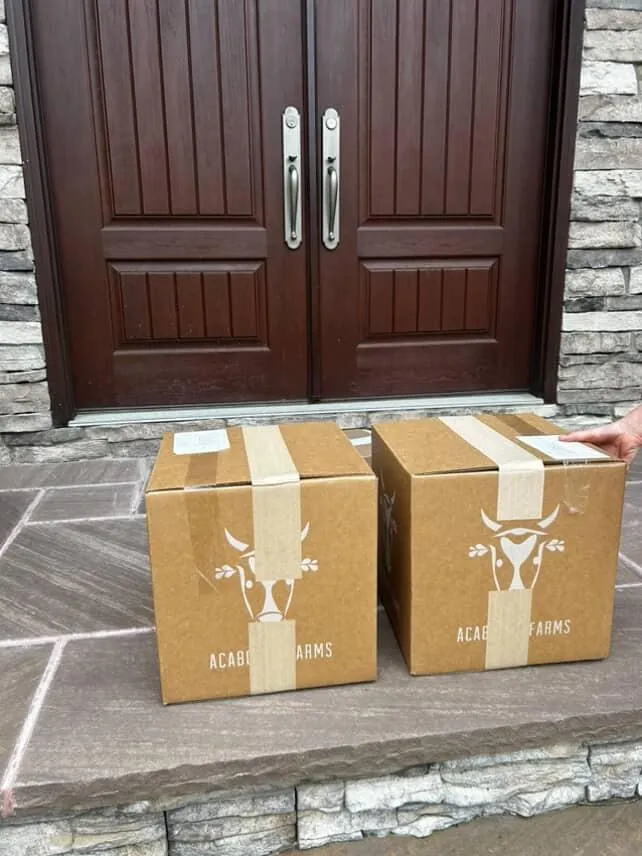 Delivery in action
