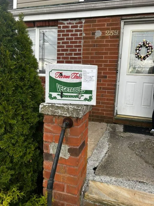 Delivery in action