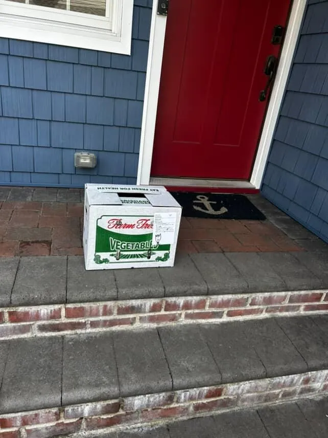 Delivery in action