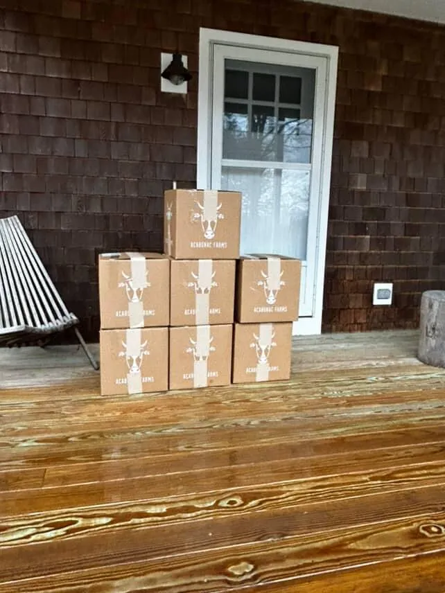 Delivery in action